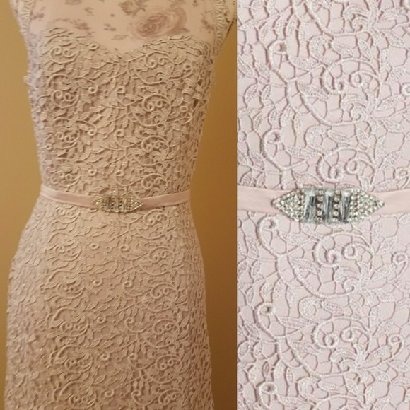 JS Collections Women's Marguerite Ankle Gown - Desert Rose Embroidered Mesh Dress